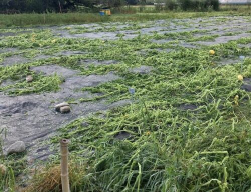 Una doccia fredda, i soci ci aiuteranno a ripartire – CdT