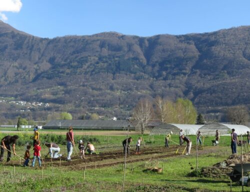 Permacultura in Svizzera: Da Praz Bonjour a Seminterra – rsi.ch
