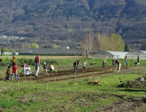 13.06 – Giornata delle famiglie