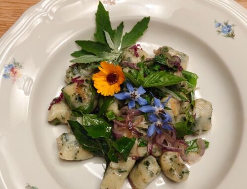 Gnocchi al farinello freddi
