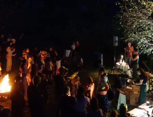 Festa di Seminterra 2026!