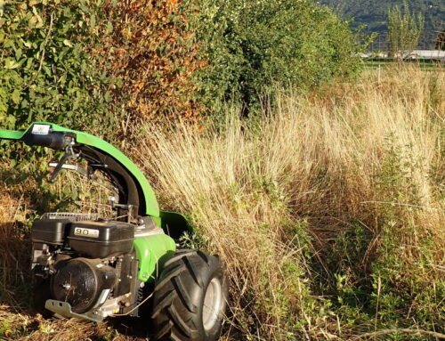 Donazioni per l’acquisto della nostra nuova falciatrice
