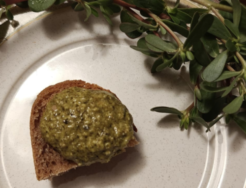 Pesto di portulaca e anacardi