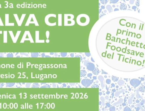 Salva cibo festival